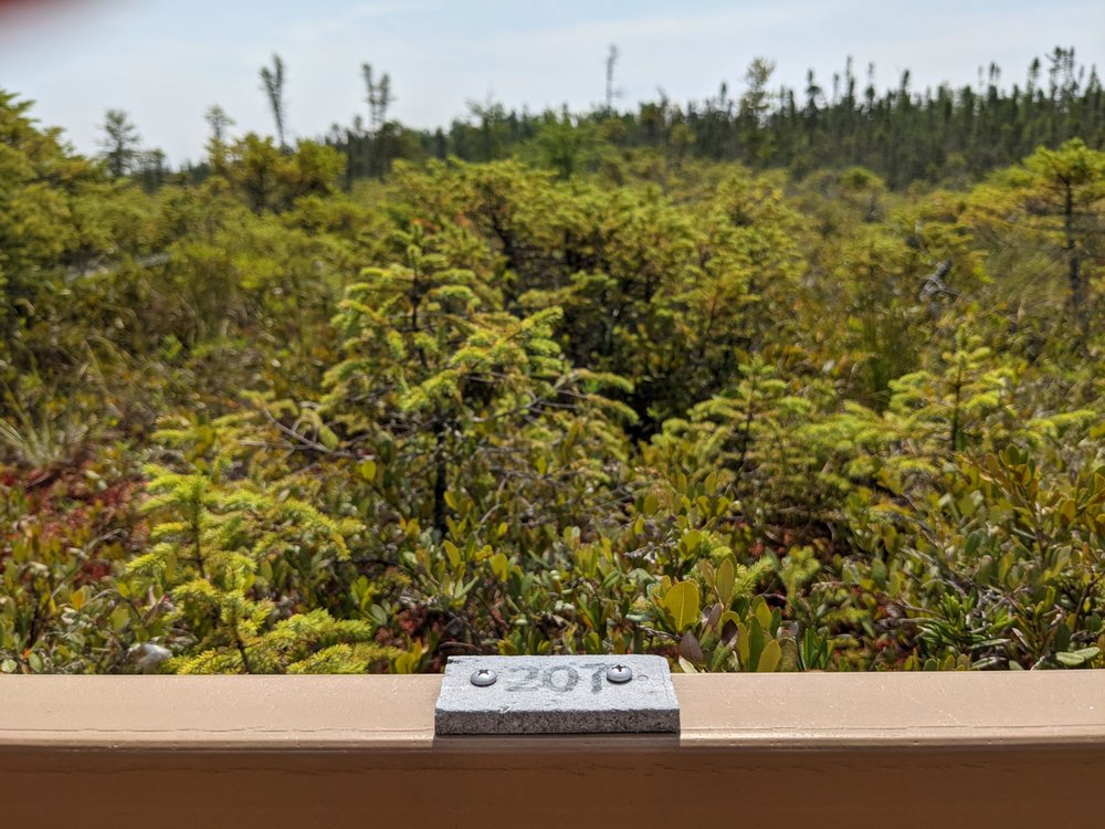 Orono Bog Boardwalk Logo
