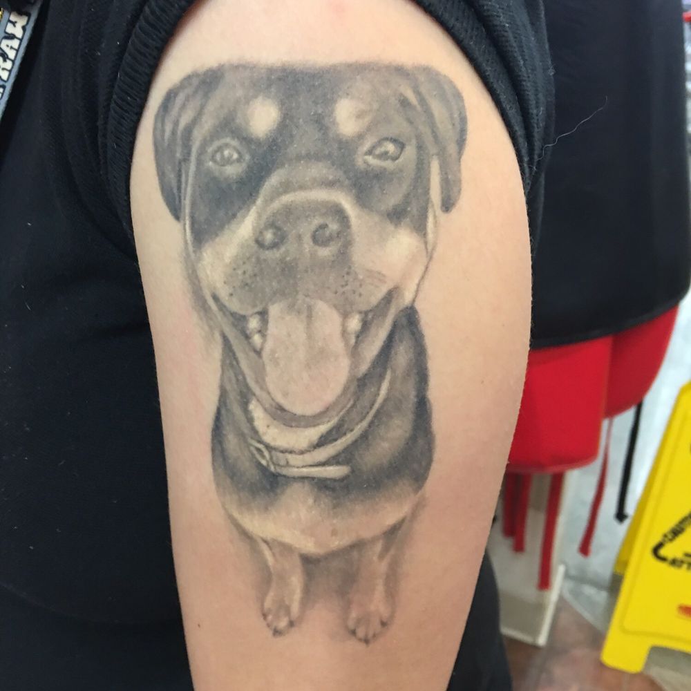 Pet Food Express - Lindsay's portrait of her dog. SOLID TATTOO. - Pet Stores Near Me - Millbrae, California