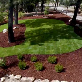 Master's Tree And Lawn Care - Tree Services Near Me - Reno, Nevada Master's Tree And Lawn Care - Tree Services Near Me - Reno, Nevada