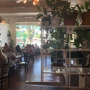 Lost Parrot Cafe - Inside seating area - Breakfast & Brunch Near Me - South Pasadena, California