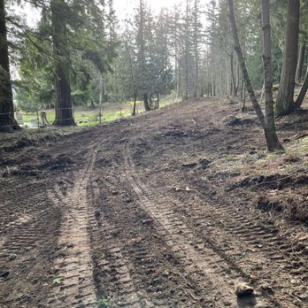 Stealth Landscaping - a dirt road in the woods - Landscaping Near Me - Black Diamond, Washington