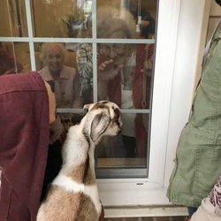 We love visiting Nursing Homes! I love hearing the Residents' stories of growing up on a farm!