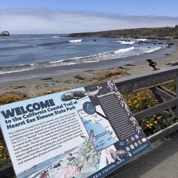 Elephant Seal Vista Point - Beaches Near Me - San Simeon, California