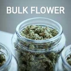 Design 710 Dispensary - An image of three glass jars with a lot of weed in them with the words bulk flower. we sell the best Weed at the best Prices.