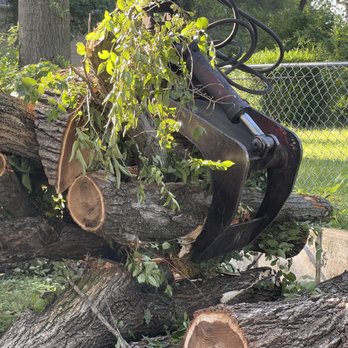 Cartwright Tree Care - Tree Services Near Me - Grandview, Missouri Cartwright Tree Care - Tree Services Near Me - Grandview, Missouri