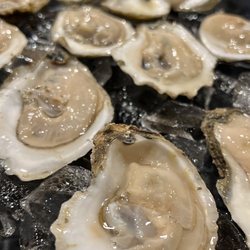 Oyster Bar Columbia - Fresh oysters by the dozen and more!!