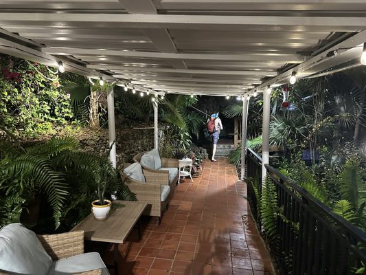 The Green Iguana Hotel by null