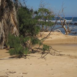 Aliomanu Beach
