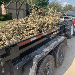 Fort Bend Junk Removal - Tree/yard debris removal