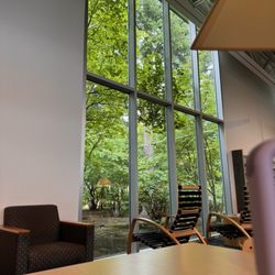 Cascade Park Community Library - my view