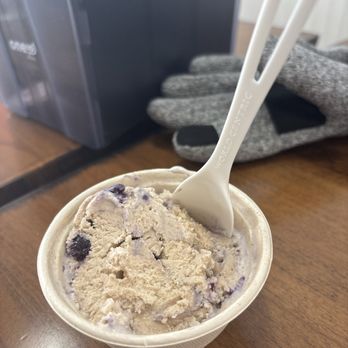 Mayday Ice Cream - Ice Cream & Frozen Yogurt Near Me - St. Augustine, Florida
