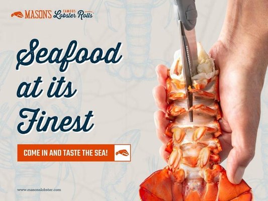 Mason's Famous Lobster Rolls by null