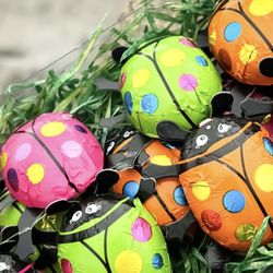 Williams-Sonoma - Ladybug fun.
