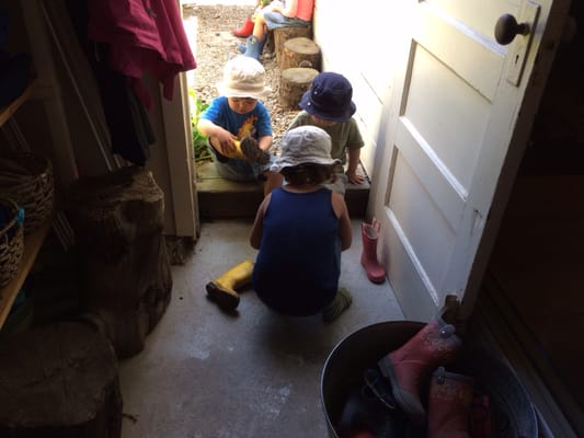 Children's Sunflower House & Garden by null