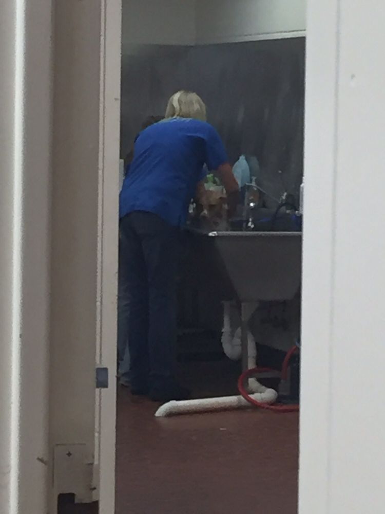 SNOWDOUN VETERINARY HOSPITAL Updated July 2024 8632 US Hwy 331