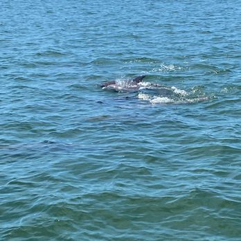Adventures In Paradise - Boating Near Me - Fort Myers, Florida