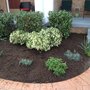 Photo of Premier Lawn Care