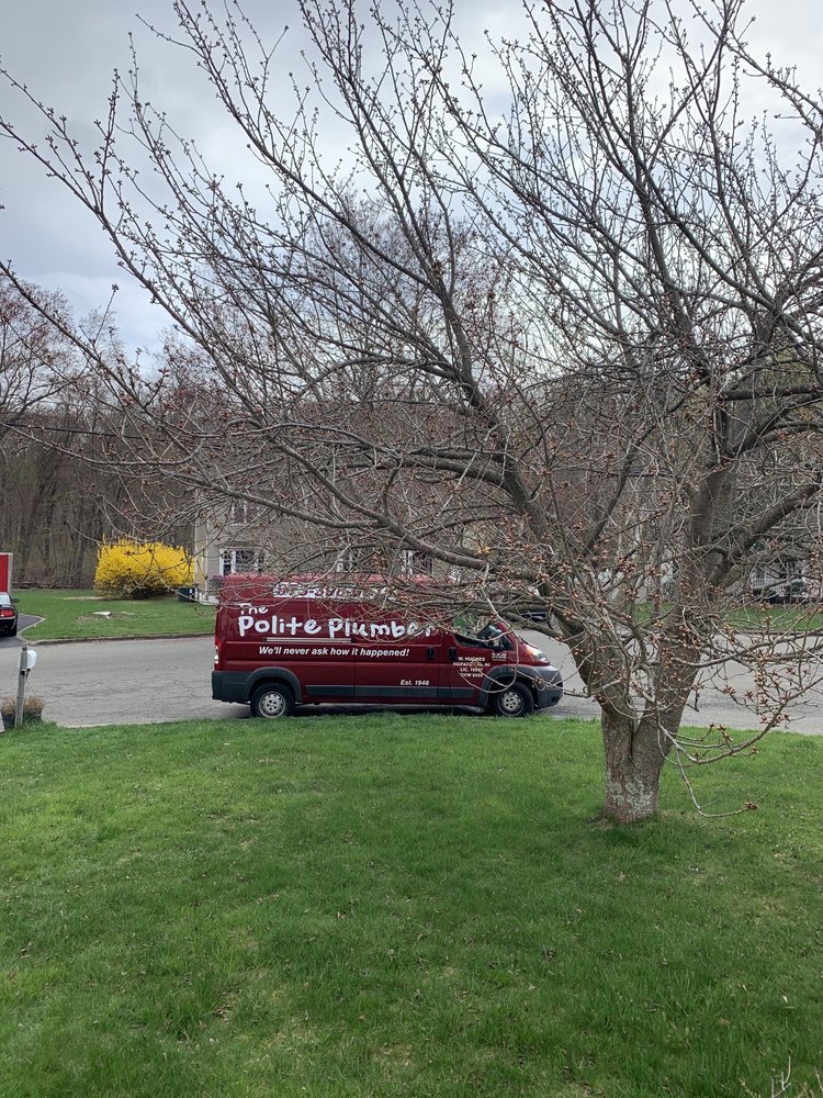 Slide of The Polite Plumber