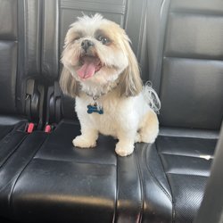 Extreme Pet Grooming Salon