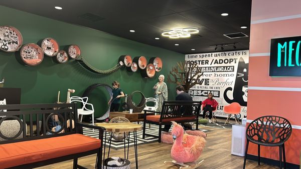 Catfeine Cat Cafe by null