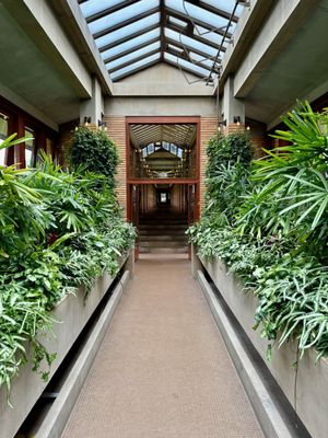 Frank Lloyd Wright's Martin House by null