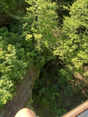 Daniel Boone National Forest by null