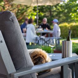 Rooted North Vineyards - Dog Friendly Terrace and outdoor space