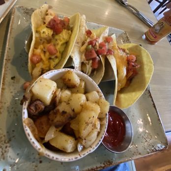 First Watch - Breakfast taco with potatoes - Cafes Near Me - Indianapolis, Indiana