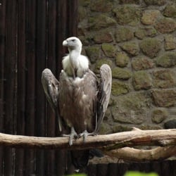 Zoologischer Garten Eberswalde