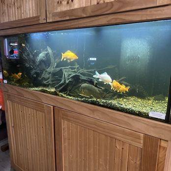 Upstairs Bar and Grill - Fish tank! - Beer Bar Near Me - Tillamook, Oregon Upstairs Bar and Grill - Fish tank! - Beer Bar Near Me - Tillamook, Oregon