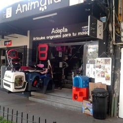 Animalia