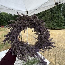 Spin Cider - Lavender wreath
