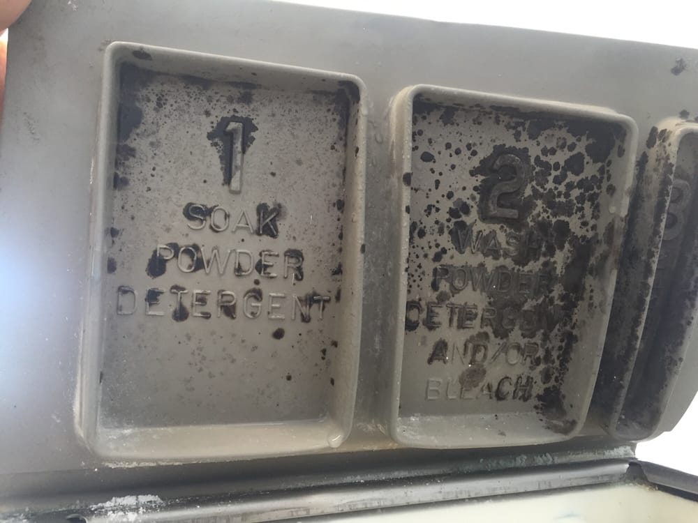 TINY BUBBLES COIN LAUNDRY Updated June 2024 30376 Utica Rd