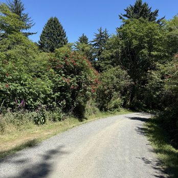 The Knoll - Hiking Near Me - Lincoln City, Oregon The Knoll - Hiking Near Me - Lincoln City, Oregon