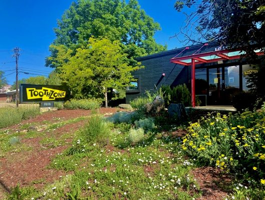 Toothzone Longmont