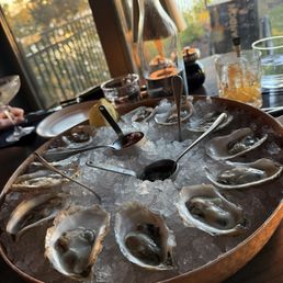 Oysters