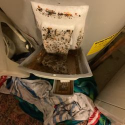 Boston Budget Plumbing Heating and Cooling - Rust around an Allston water heater deserves a closer look. We provide professional water heater service. Call (617) 296-8600.