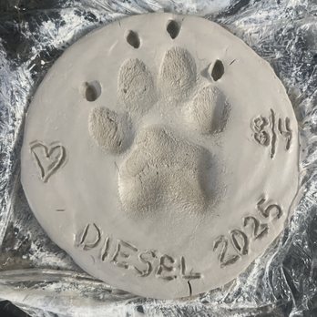 Dr Marchi - Pet Euthanasia at Home - Dr. Marchi made us a beautiful Paw Print of our fur baby - Pet Services Near Me - Long Beach, California