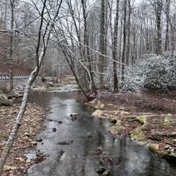 Roan Mountain State Park - Cade's Hole area