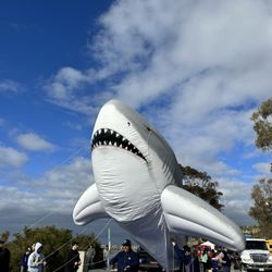 How to blow up a shark... properly... we love animals! lol.