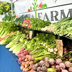 Harvest Farmer's Market - From beets to leeks