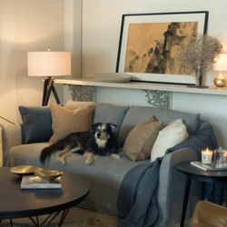 Red Bird Trading - Red Bird Trading Interior Design