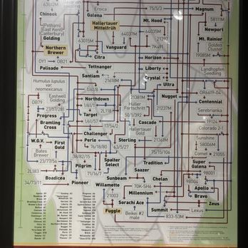Eudora Brewing Company - Hummmmm, this is deep thought.... - Breweries Near Me - Kettering, Ohio