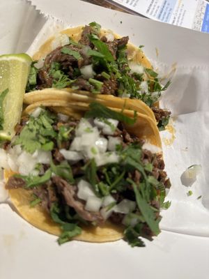 La Tingeria Alexandria by null