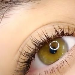 Not Your Basic Chic - Classic Eyelash Extension