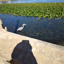 Allen Kryger Park