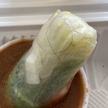 Pho Saigon Noodle House - Spring rolls with hair - Vietnamese Near Me - Milpitas, California