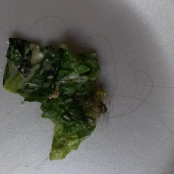 Panera Bread - Clump of hair - Salad Near Me - Rialto, California Panera Bread - Clump of hair - Salad Near Me - Rialto, California