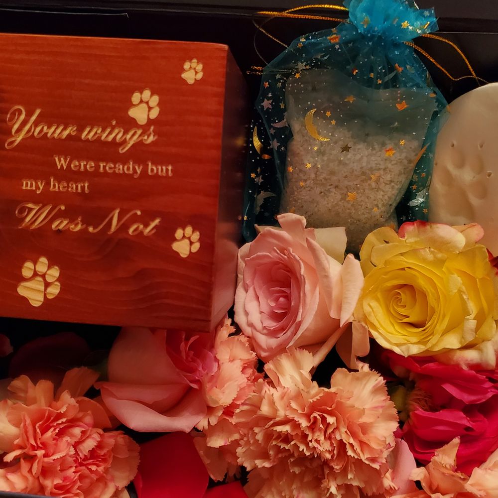 Small Paws Cremations - I'll miss you... - Pet Cremation Services Near Me - Los Angeles, California Small Paws Cremations - I'll miss you... - Pet Cremation Services Near Me - Los Angeles, California