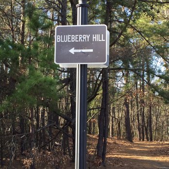 Blueberry Hill Trail - Hiking Near Me - Gibbsboro, New Jersey